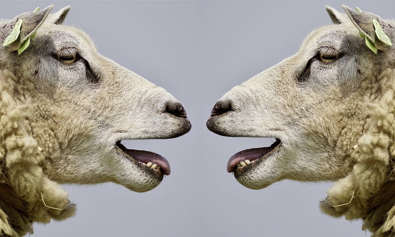 Subtle Communication